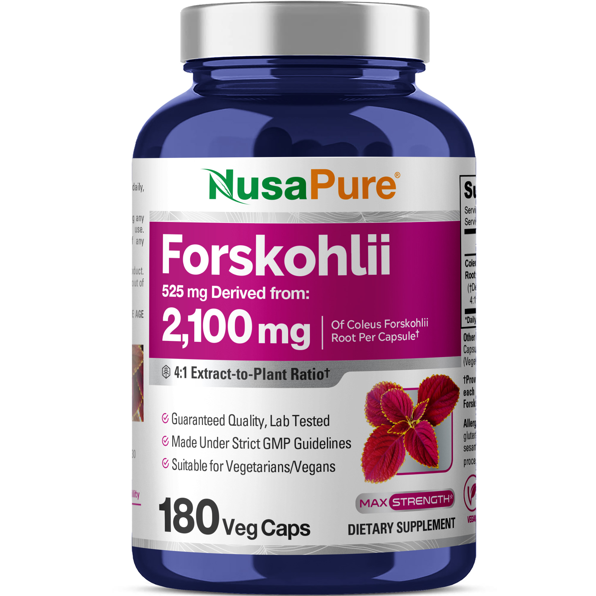 NusaPure Forskohlii 4:1 Extract, 525 mg Equivalent to 21,00 mgper Veggie Caps - 180 Capsules (Non-GMO, Vegan)