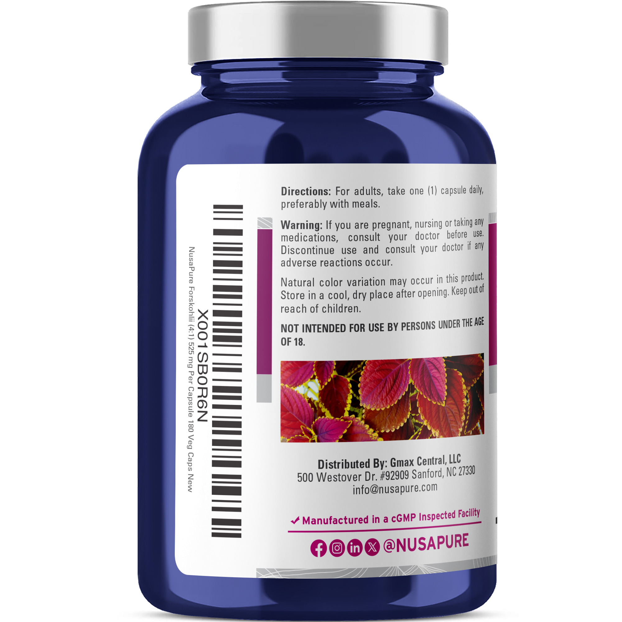 NusaPure Forskohlii 4:1 Extract, 525 mg Equivalent to 21,00 mgper Veggie Caps - 180 Capsules (Non-GMO, Vegan) - Image 3