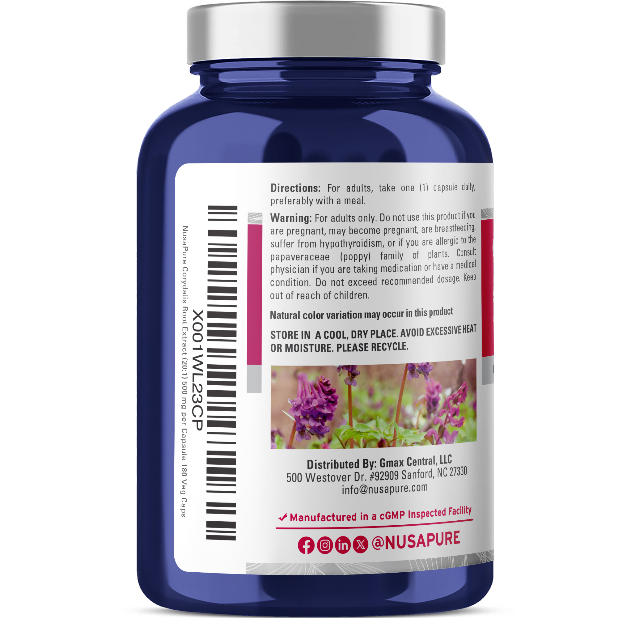 Corydalis 10,000mg - 180 veggie caps (Vegan, Non - GMO) - Image 3