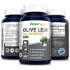 Olive Leaf Extract 50% Oleuropein- 60 Veg Caps (100% Vegetarian, Non-GMO, Gluten-free)