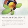 Bilberry Extract 2500 mg -200 Veg Caps (100% Vegetarian, Non-GMO & Gluten-free)